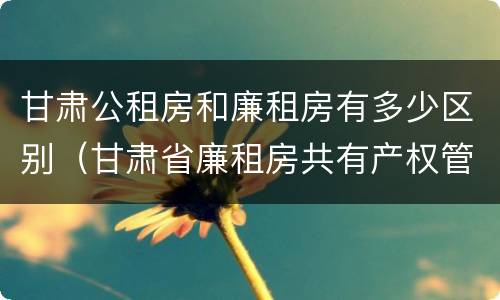 甘肃公租房和廉租房有多少区别（甘肃省廉租房共有产权管理办法）