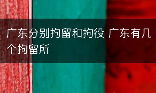 广东分别拘留和拘役 广东有几个拘留所