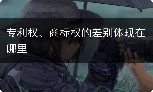 专利权、商标权的差别体现在哪里