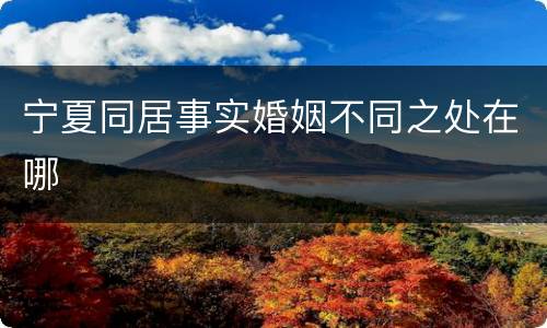 宁夏同居事实婚姻不同之处在哪