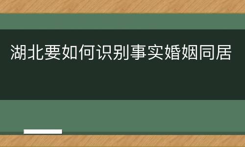 湖北要如何识别事实婚姻同居