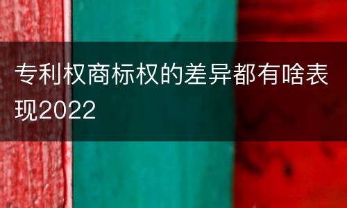 专利权商标权的差异都有啥表现2022