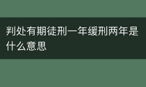 判处有期徒刑一年缓刑两年是什么意思