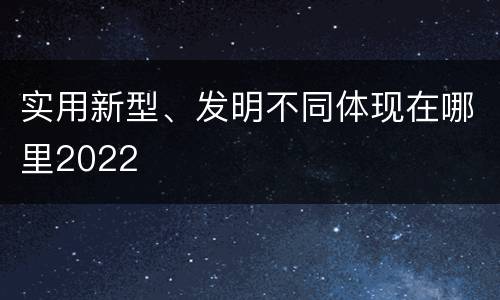实用新型、发明不同体现在哪里2022