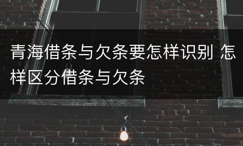 青海借条与欠条要怎样识别 怎样区分借条与欠条