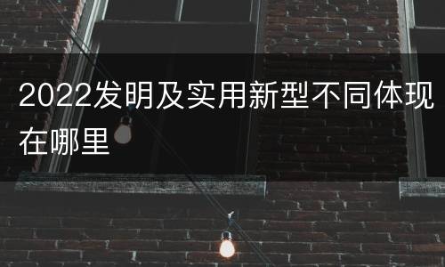2022发明及实用新型不同体现在哪里