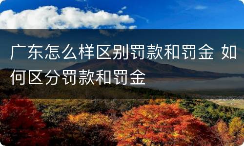 广东怎么样区别罚款和罚金 如何区分罚款和罚金