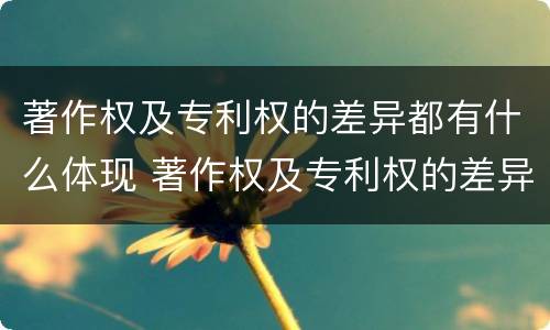 著作权及专利权的差异都有什么体现 著作权及专利权的差异都有什么体现呢