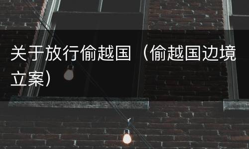 关于放行偷越国（偷越国边境立案）