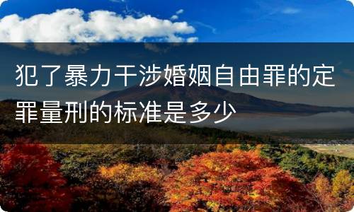 犯了暴力干涉婚姻自由罪的定罪量刑的标准是多少