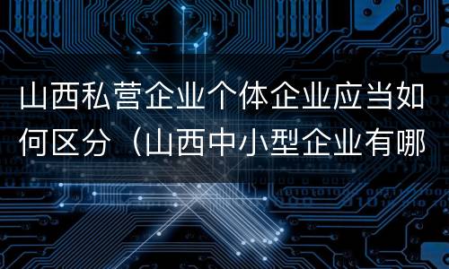 山西私营企业个体企业应当如何区分（山西中小型企业有哪些）
