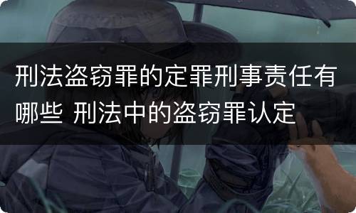 刑法盗窃罪的定罪刑事责任有哪些 刑法中的盗窃罪认定