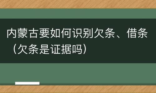 内蒙古要如何识别欠条、借条（欠条是证据吗）