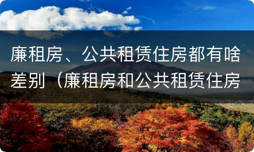 廉租房、公共租赁住房都有啥差别（廉租房和公共租赁住房）