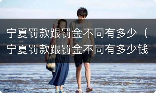 宁夏罚款跟罚金不同有多少（宁夏罚款跟罚金不同有多少钱）