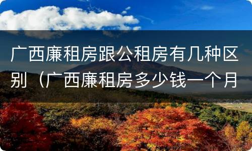 广西廉租房跟公租房有几种区别（广西廉租房多少钱一个月）