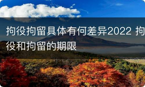 拘役拘留具体有何差异2022 拘役和拘留的期限