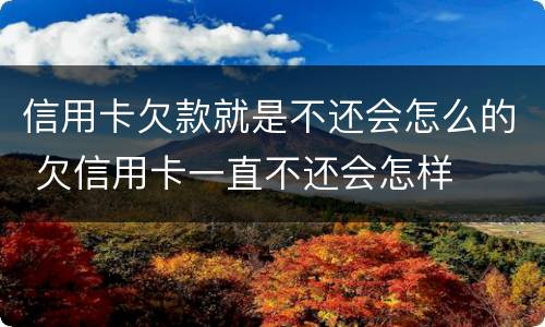 信用卡欠款就是不还会怎么的 欠信用卡一直不还会怎样