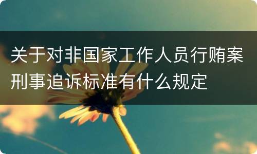 关于对非国家工作人员行贿案刑事追诉标准有什么规定