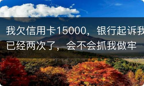 我欠信用卡15000，银行起诉我已经两次了，会不会抓我做牢
