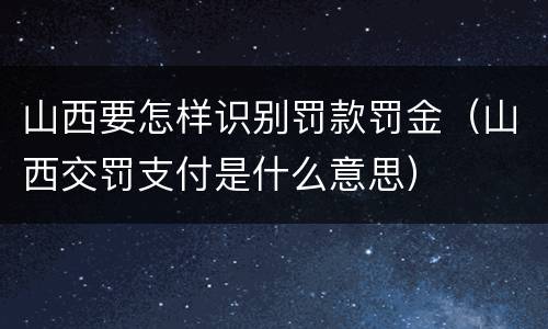 山西要怎样识别罚款罚金（山西交罚支付是什么意思）