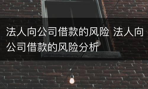 法人向公司借款的风险 法人向公司借款的风险分析