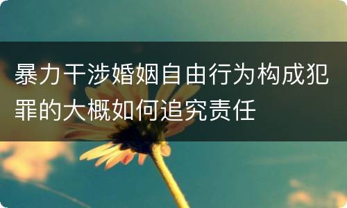 暴力干涉婚姻自由行为构成犯罪的大概如何追究责任