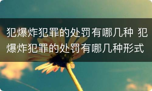犯爆炸犯罪的处罚有哪几种 犯爆炸犯罪的处罚有哪几种形式