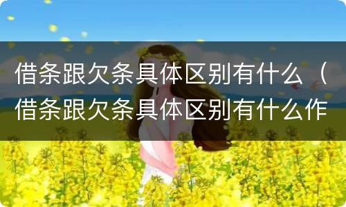 借条跟欠条具体区别有什么（借条跟欠条具体区别有什么作用）