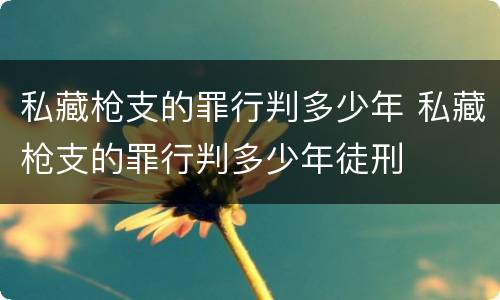 私藏枪支的罪行判多少年 私藏枪支的罪行判多少年徒刑