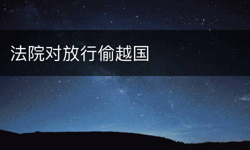 法院对放行偷越国