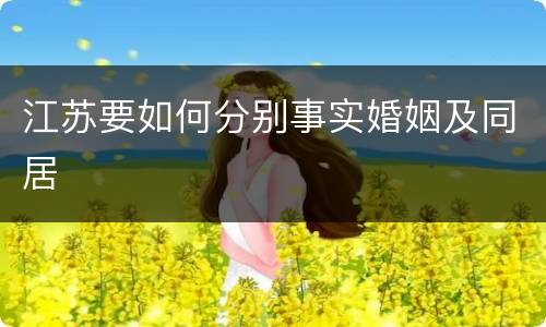江苏要如何分别事实婚姻及同居