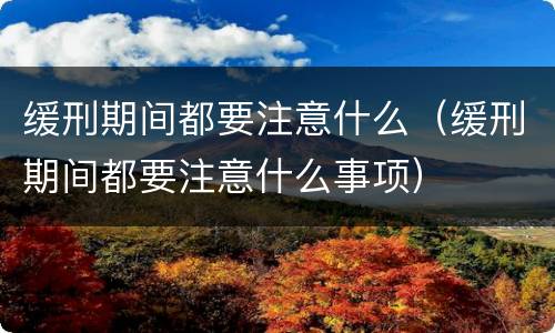 缓刑期间都要注意什么（缓刑期间都要注意什么事项）