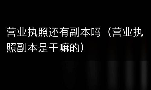 营业执照还有副本吗（营业执照副本是干嘛的）