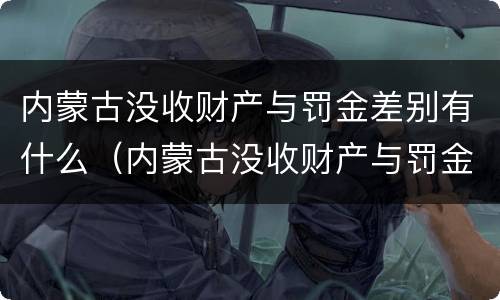 内蒙古没收财产与罚金差别有什么（内蒙古没收财产与罚金差别有什么规定）