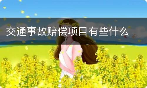 交通事故赔偿项目有些什么