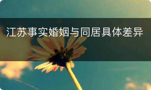 江苏事实婚姻与同居具体差异