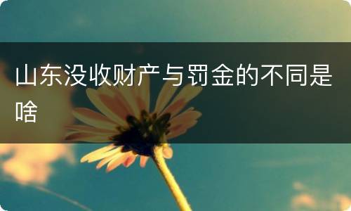 山东没收财产与罚金的不同是啥