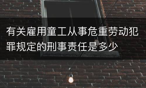 有关雇用童工从事危重劳动犯罪规定的刑事责任是多少