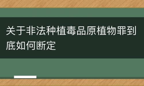 关于非法种植毒品原植物罪到底如何断定