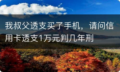 我叔父透支买了手机，请问信用卡透支1万元判几年刑