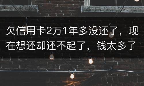 欠信用卡2万1年多没还了，现在想还却还不起了，钱太多了，会有什么后果