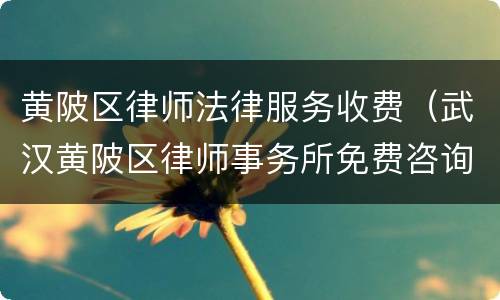 黄陂区律师法律服务收费（武汉黄陂区律师事务所免费咨询电话）