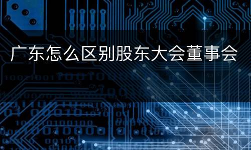广东怎么区别股东大会董事会