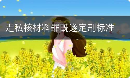 走私核材料罪既遂定刑标准