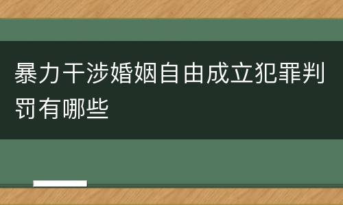 暴力干涉婚姻自由成立犯罪判罚有哪些