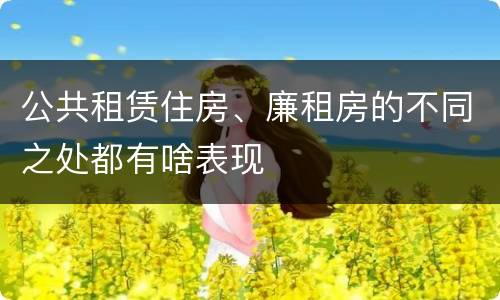 公共租赁住房、廉租房的不同之处都有啥表现