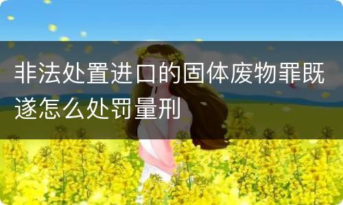 非法处置进口的固体废物罪既遂怎么处罚量刑