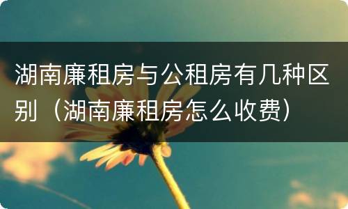 湖南廉租房与公租房有几种区别（湖南廉租房怎么收费）