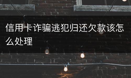信用卡诈骗逃犯归还欠款该怎么处理
